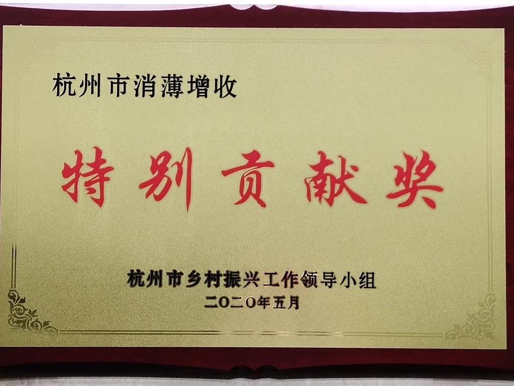 1591149577197244X0qe.jpg 特別貢獻(xiàn)獎(jiǎng).jpg